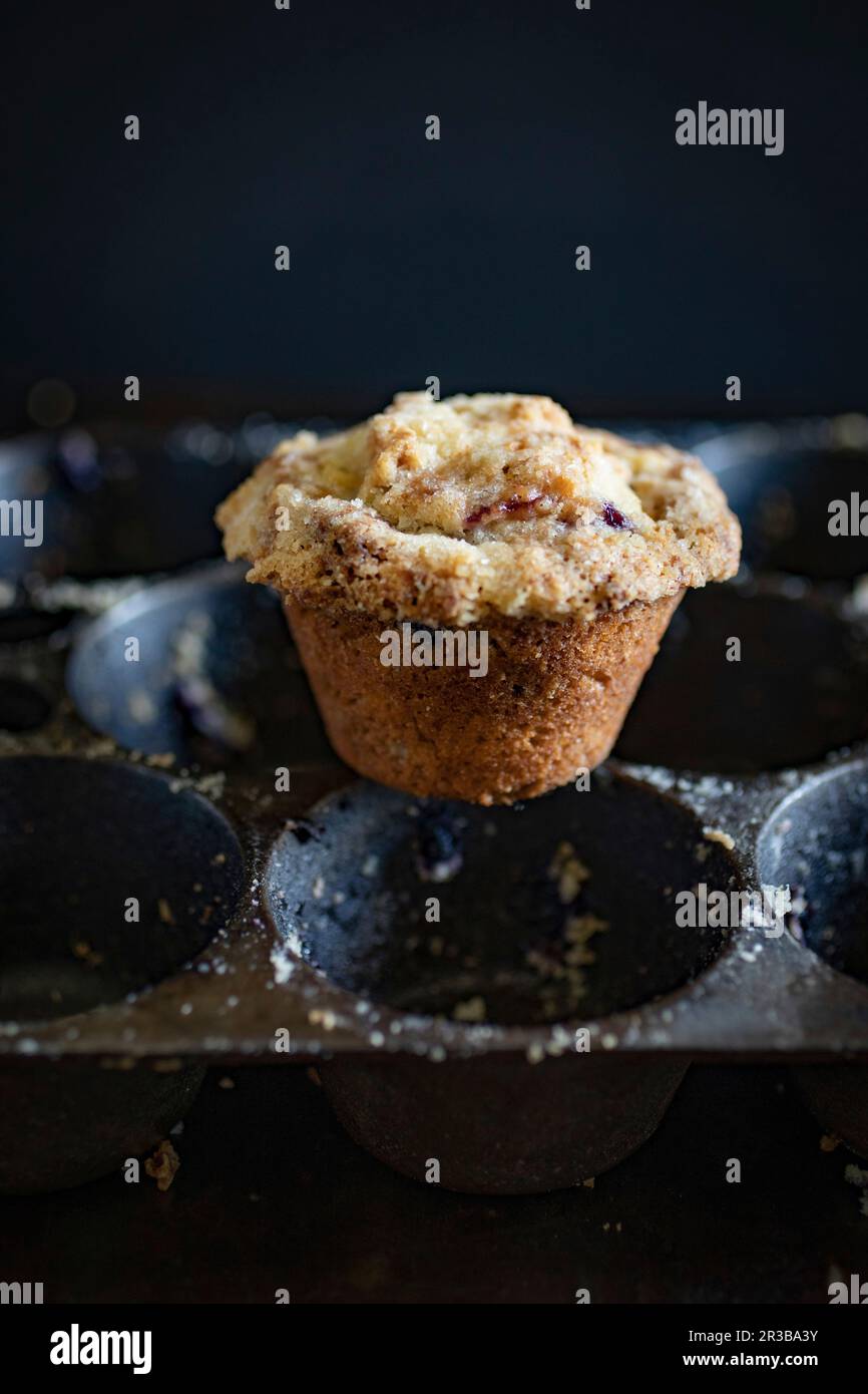 Ein Muffin auf einem Muffin-Tablett Stockfoto