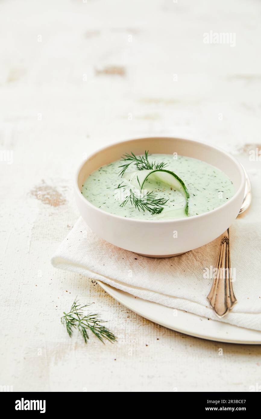 Gurkensuppe mit dill -Fotos und -Bildmaterial in hoher Auflösung – Alamy