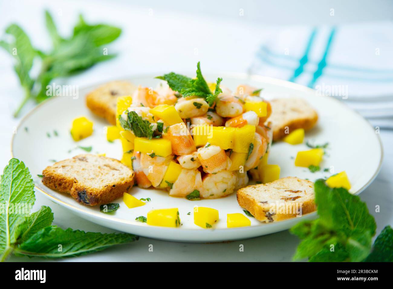 Zattera di tartaruga -Fotos und -Bildmaterial in hoher Auflösung – Alamy