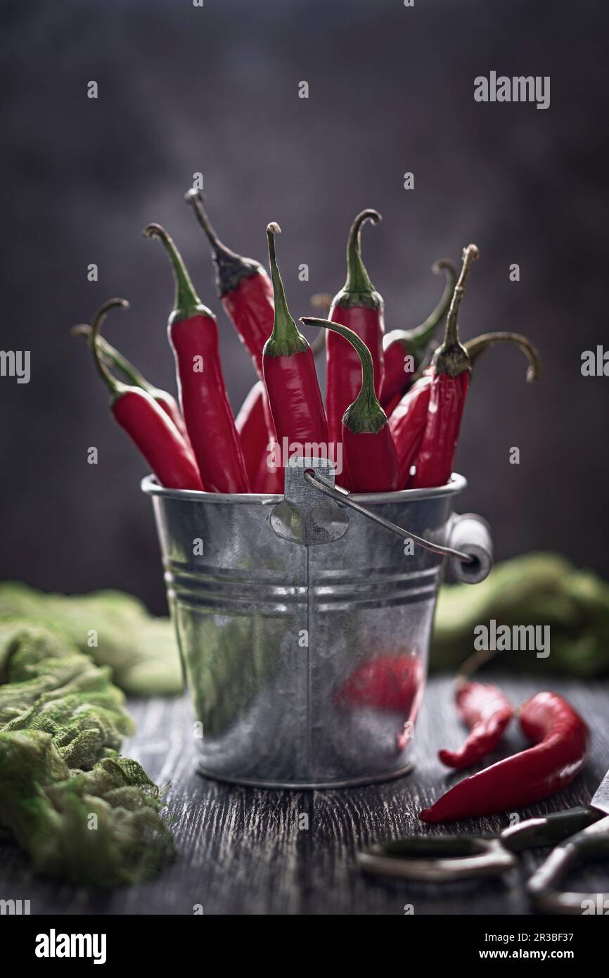 Rote Chili-Paprika in einem kleinen Eimer Stockfoto