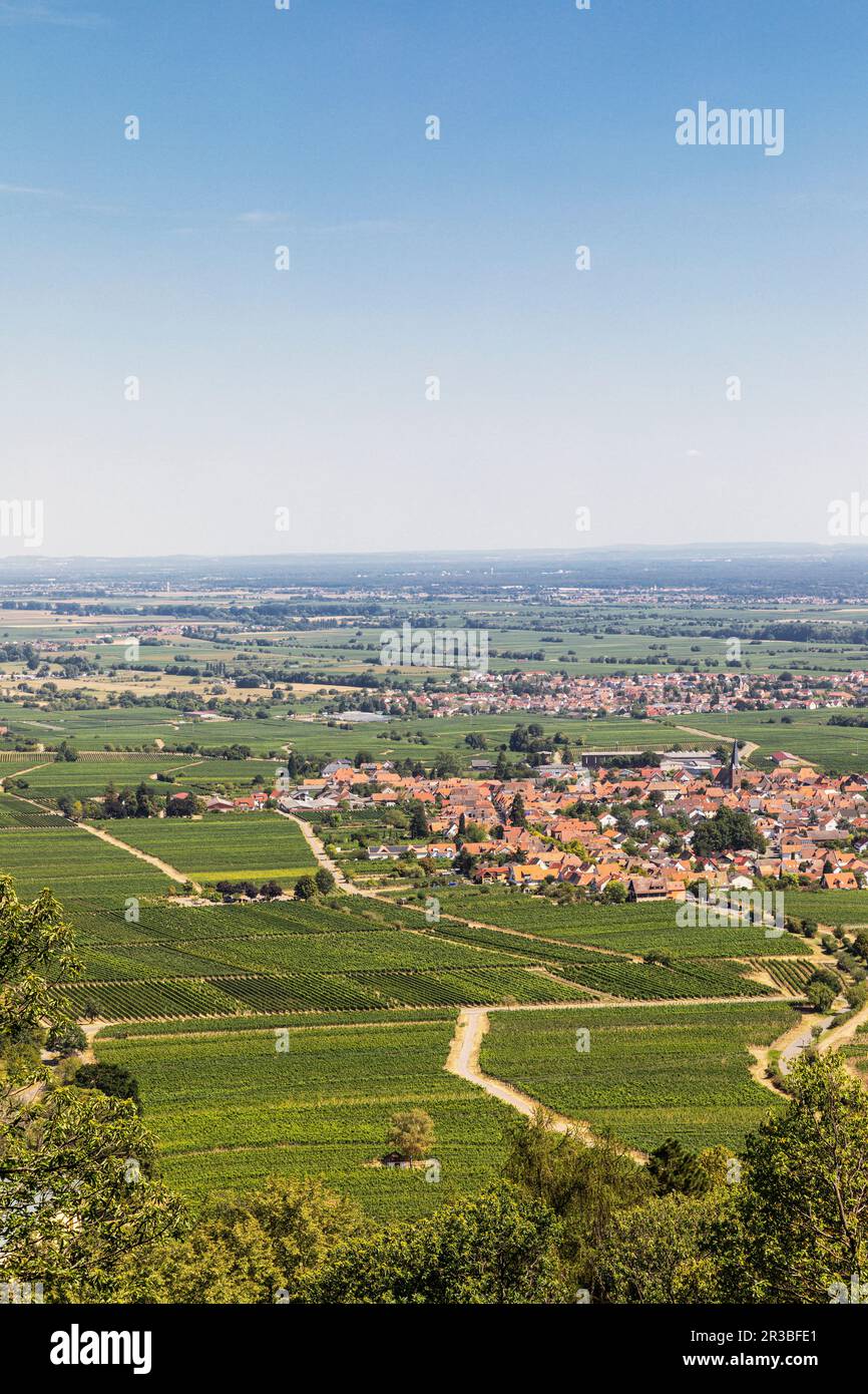 Deutschland, Rheinland-Pfalz, Dörfer umgeben von Sommerweinen Stockfoto