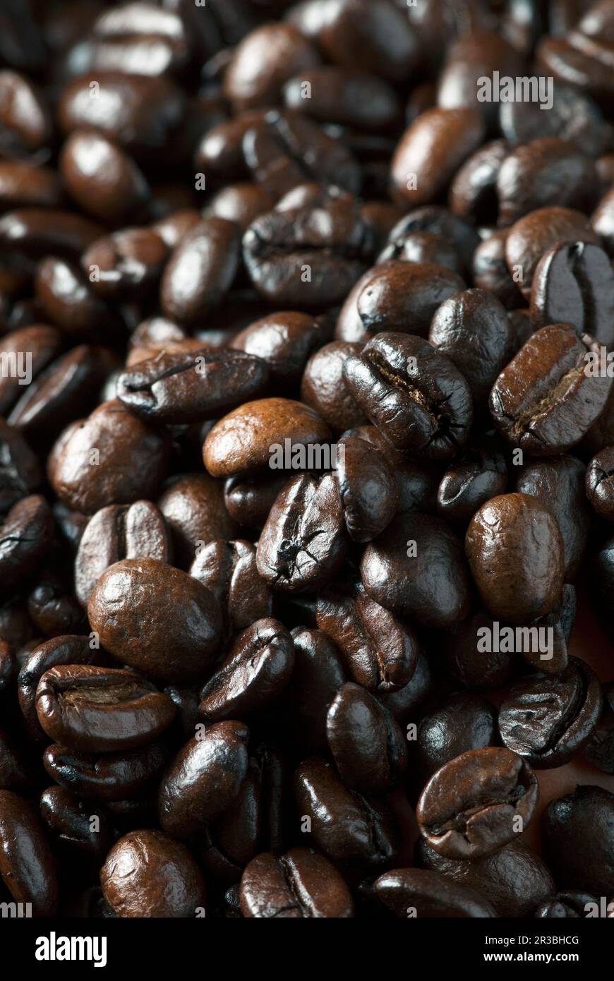 Nahaufnahme von Kaffeebohnen Stockfoto