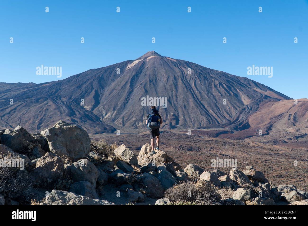 Mann auf Felsen mit Blick auf die trockene Wüstenebene La Canada de los Guancheros und den Vulkan Pico del Teide, Mount Teide National Park, Teneriffa, Kanarische Inseln, Stockfoto