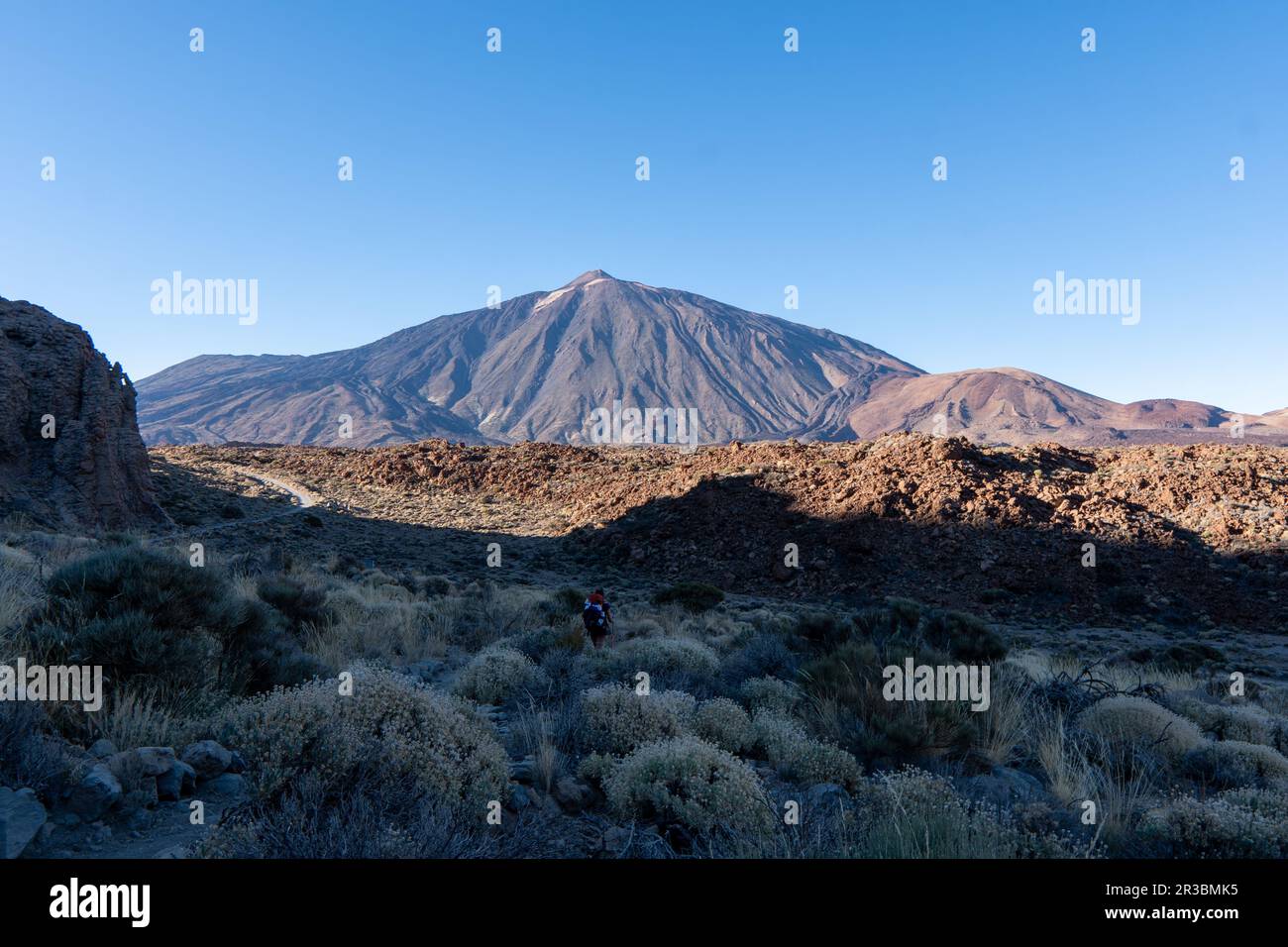 Karger trockener Ast mit goldenem Sonnenaufgang am Morgen auf dem Gipfel des Vulkans Pico del Teide von Roques de Garcia, Mount El Teide National Park, zehn Stockfoto