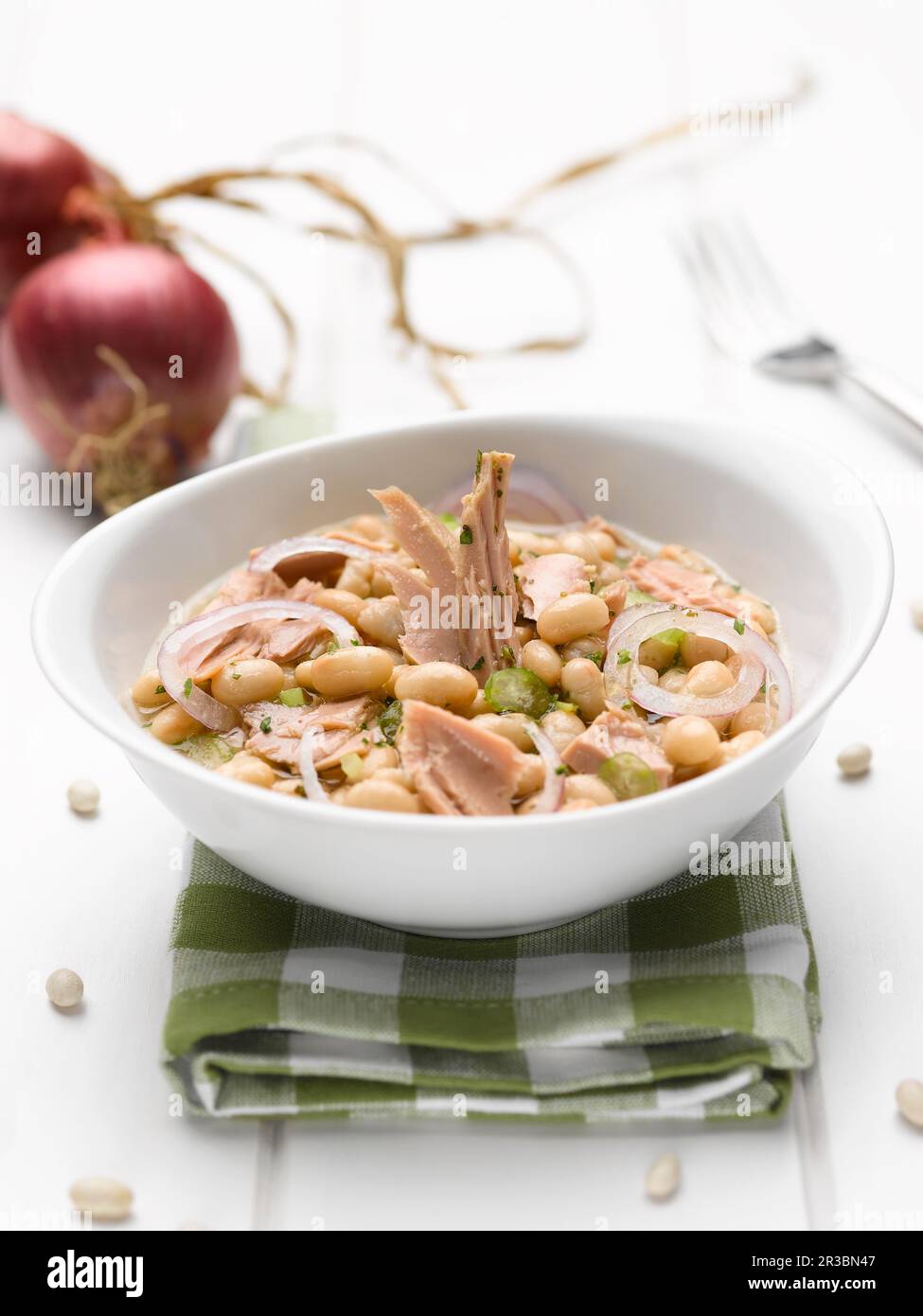 Sommersuppe mit Thunfisch, weißen Bohnen und roten Zwiebeln Stockfoto