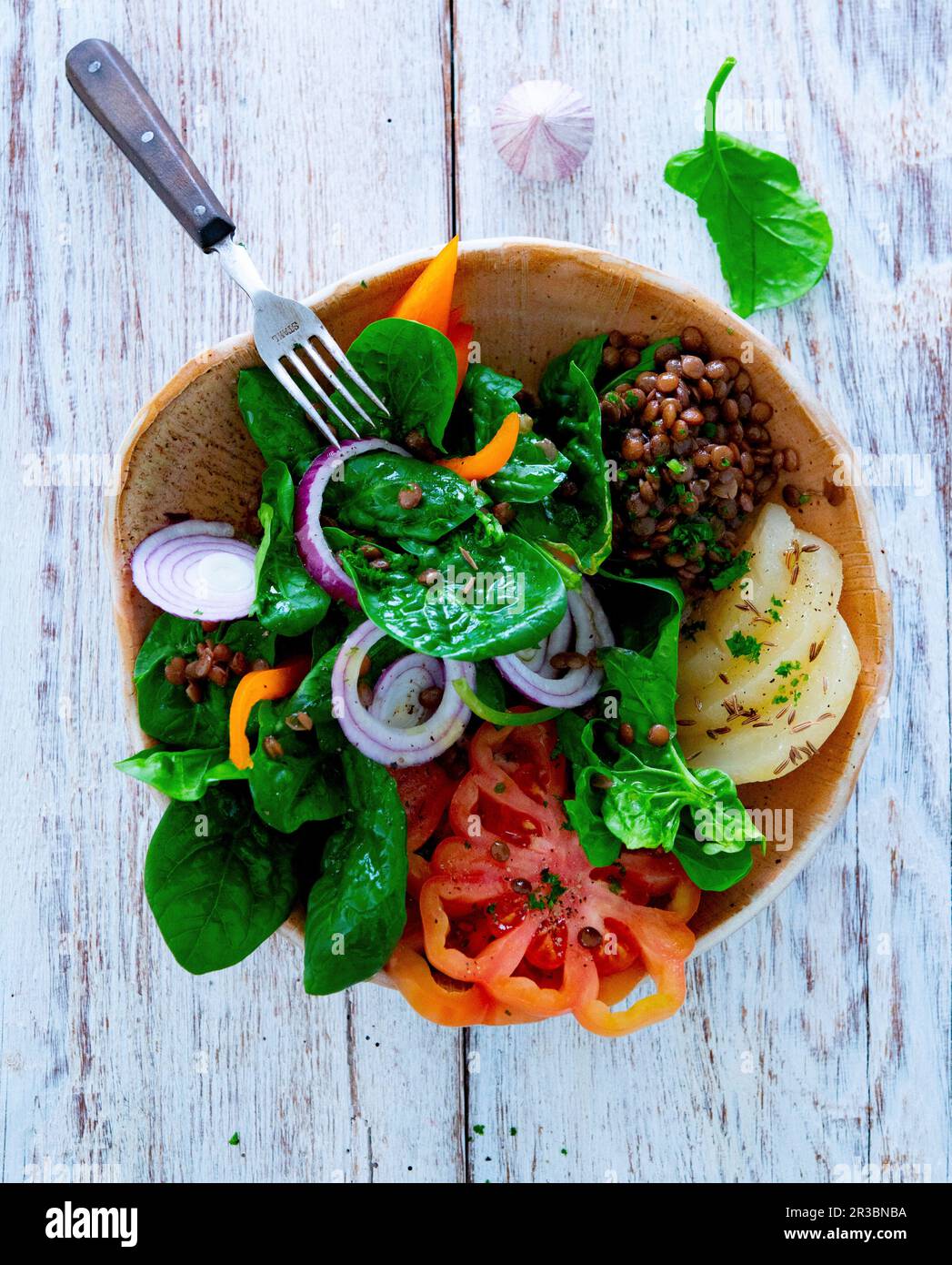 Spinatsalat mit Linsen, Gemüse und Harzkäse Stockfoto