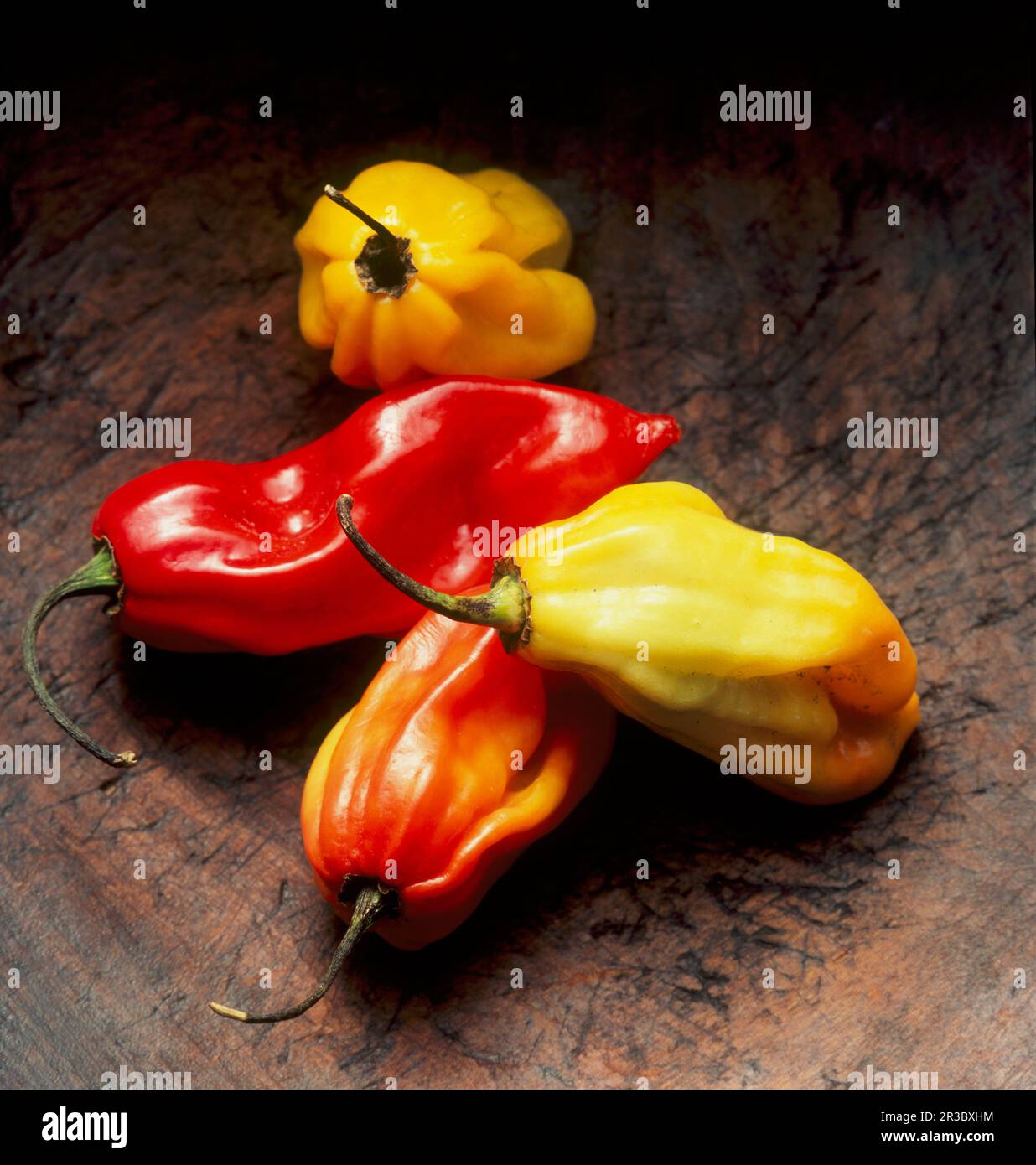 "Scotch Bonnet" Chilis Stockfoto