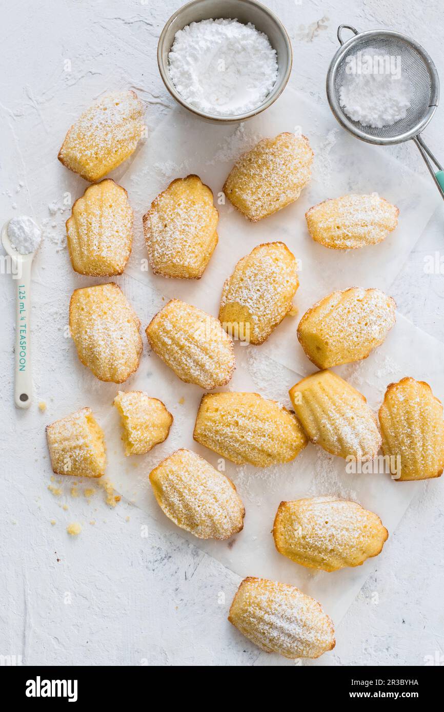 Vanille-Madeleines Stockfoto