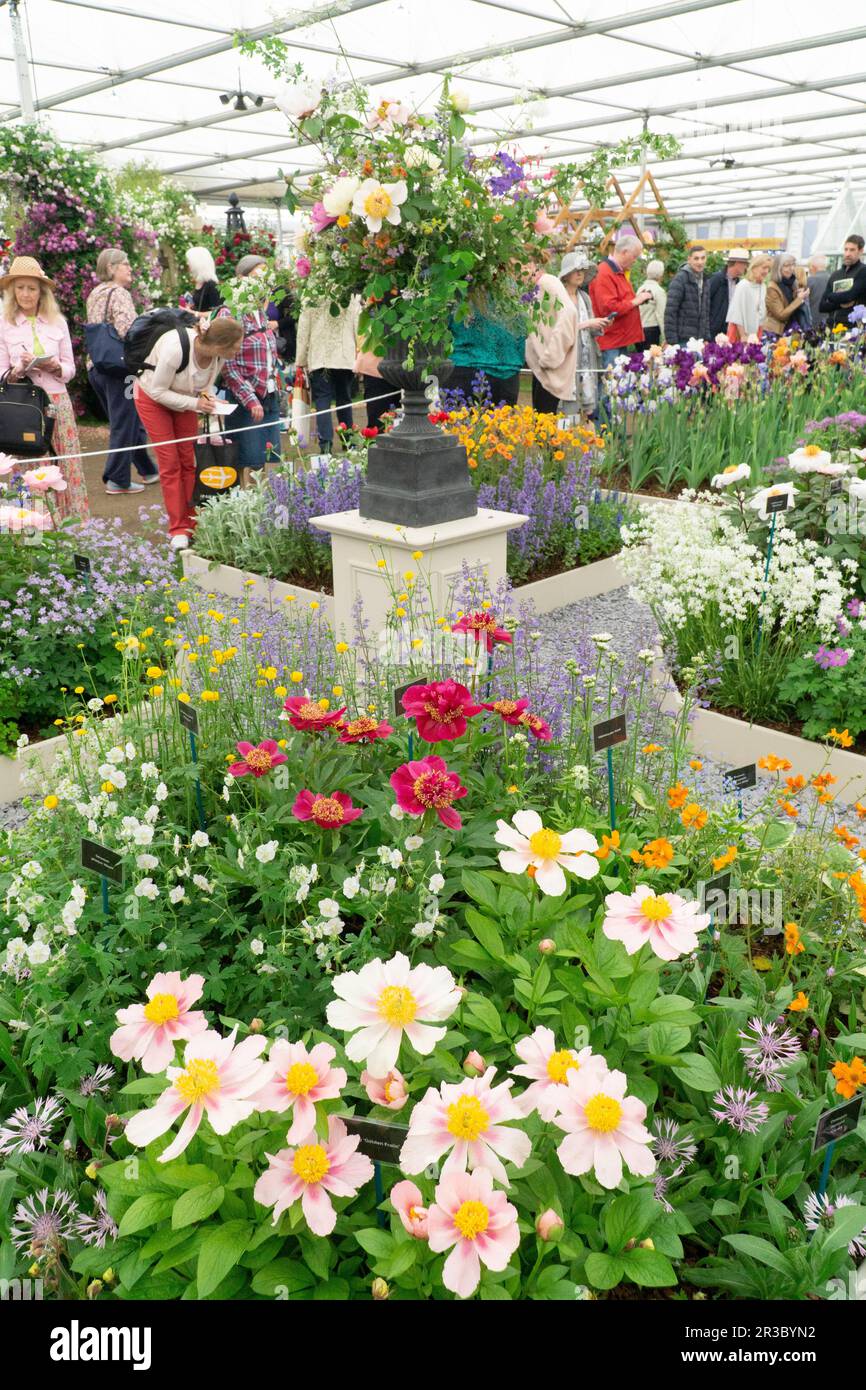 London, Großbritannien. 23. Mai 2023. Die RHS Chelsea Flower Show ist für die Öffentlichkeit zugänglich, mit einem Meer aus Strohhüten und Blumenkleidern rund um jeden der Schaugärten. Im Grand Pavillion ziehen spezialisierte Pflanzenbauern Menschenmengen an und verkaufen Zwiebeln, Pflanzen und Saatgut. Kredit: Anna Watson/Alamy Live News Stockfoto