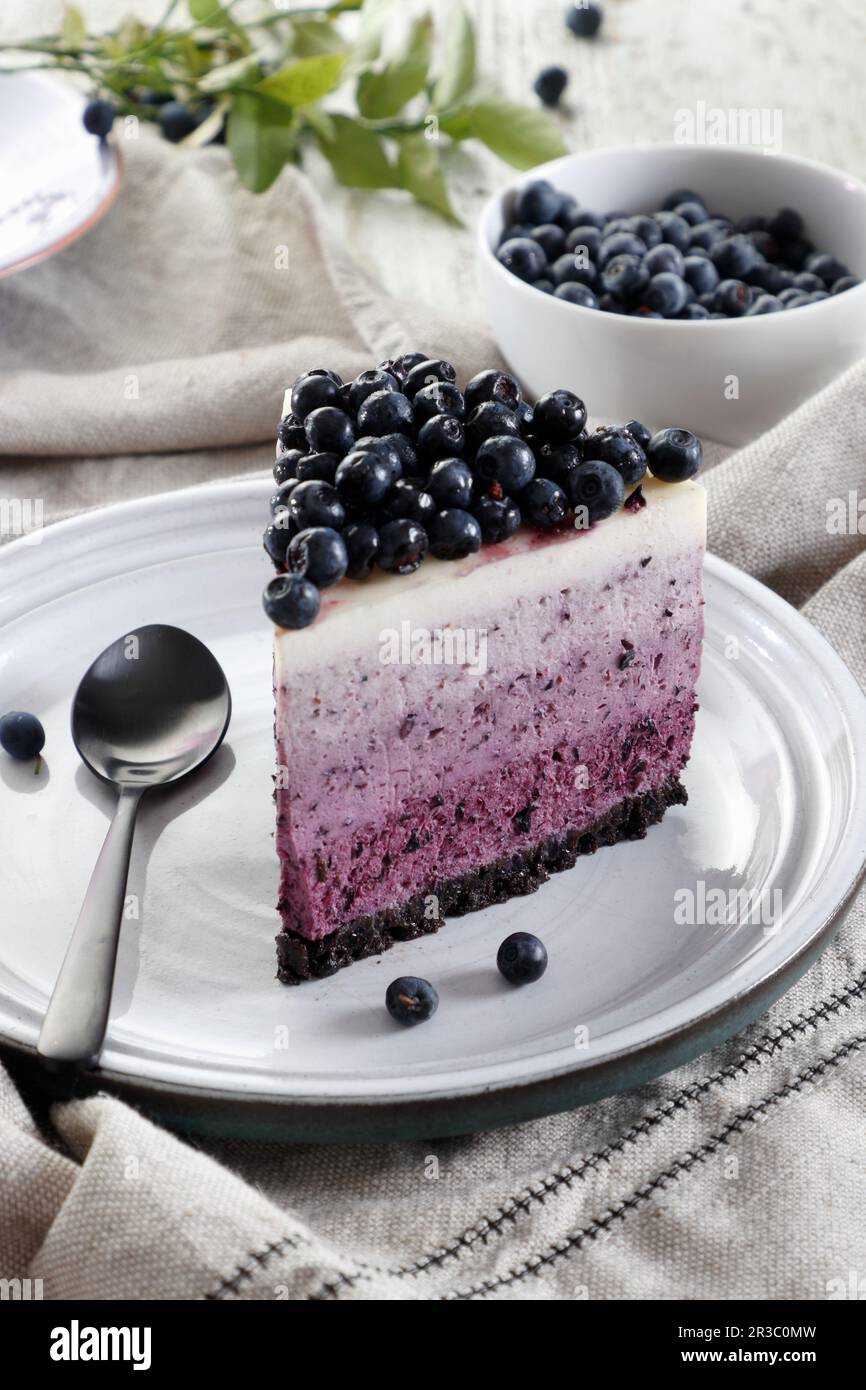 Blueberry Ombre Cake (Rohes Backen) Stockfoto