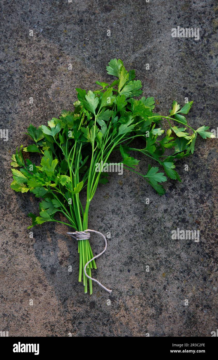 Ein Haufen flacher Petersilie Stockfoto