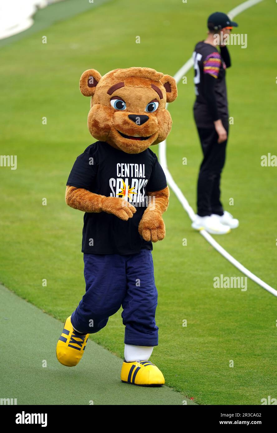 Das Maskottchen Hugh Bear von Central Sparks während des Charlotte Edwards Cup-Spiels in Edgbaston, Birmingham. Foto: Dienstag, 23. Mai 2023. Stockfoto
