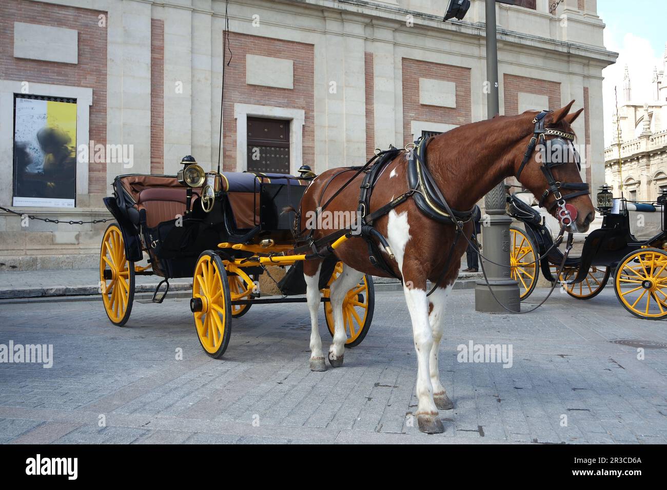 Pferdekutsche in Sevilla Stockfoto