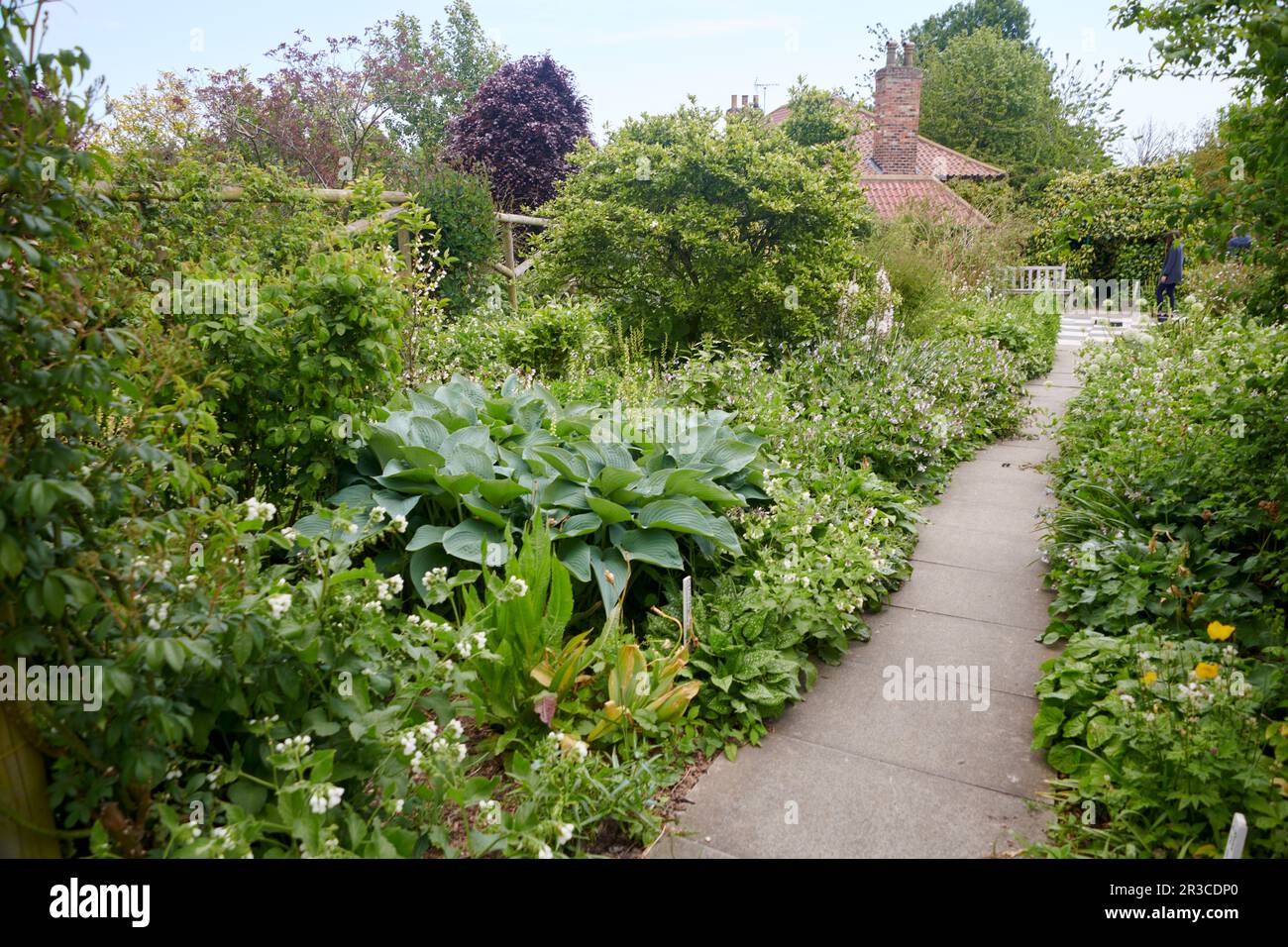 Blumengrenze in einem englischen elisabethanischen ummauerten Garten Stockfoto