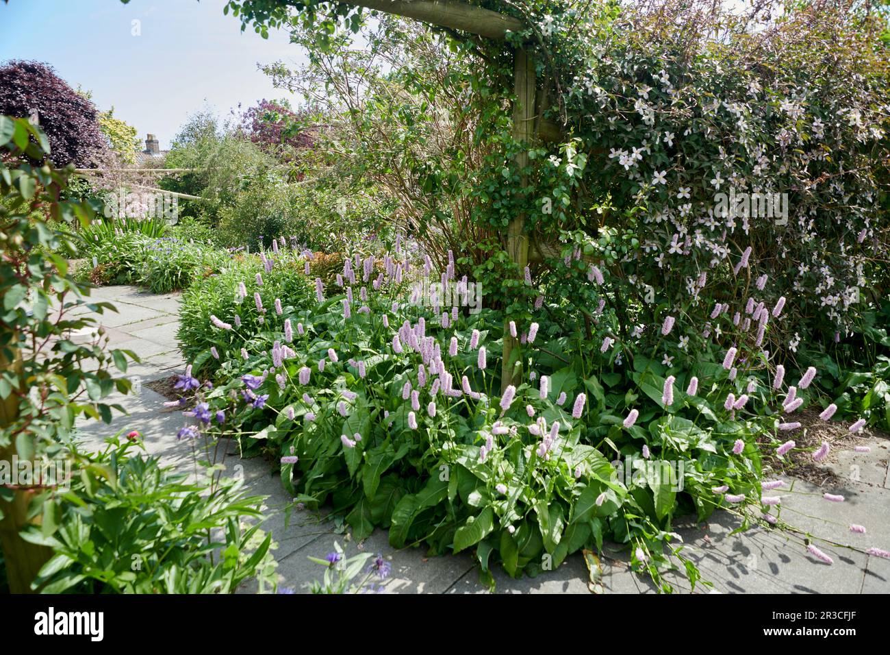 Blumengrenze in einem englischen elisabethanischen ummauerten Garten Stockfoto