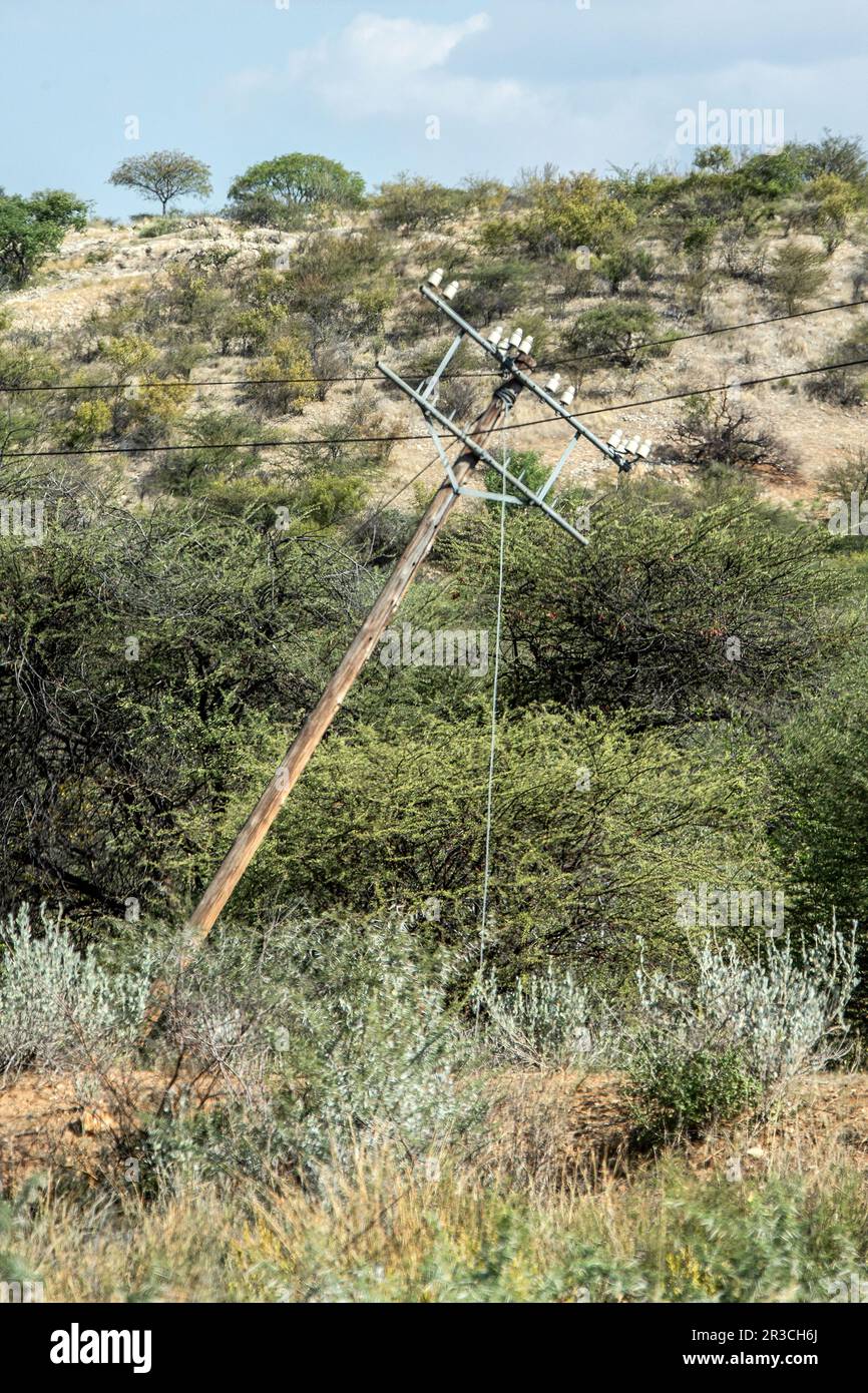 Ein gebrochener und geneigter Telegrafenmast im Busch, mit alten Isolatoren. Kabel und Leitungen halten es hoch. Schäden - durch Termitenaktivität verursacht Stockfoto