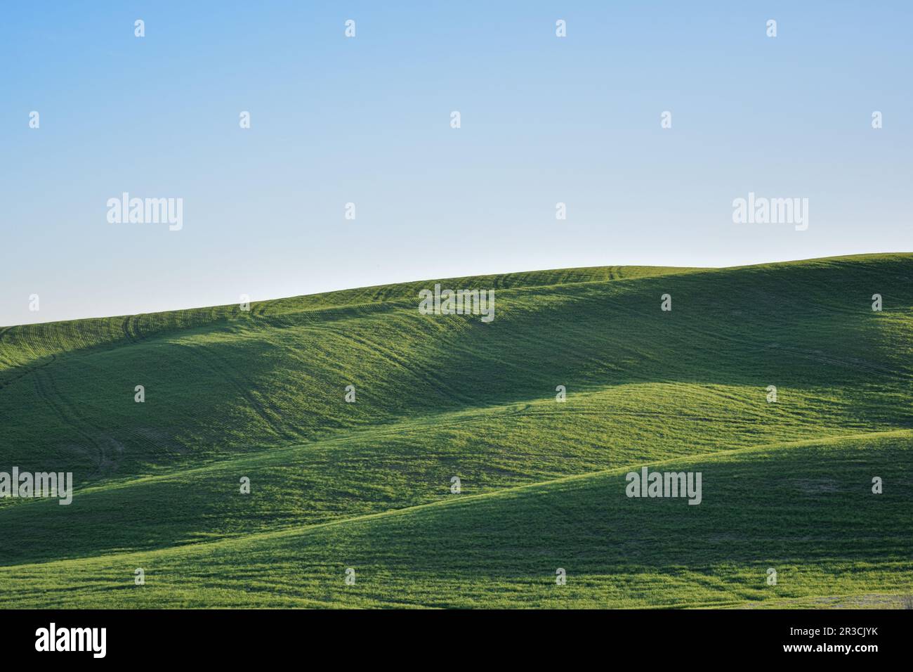 Kreta Senesi, toskanische grüne Hügel an einem sonnigen Tag Stockfoto
