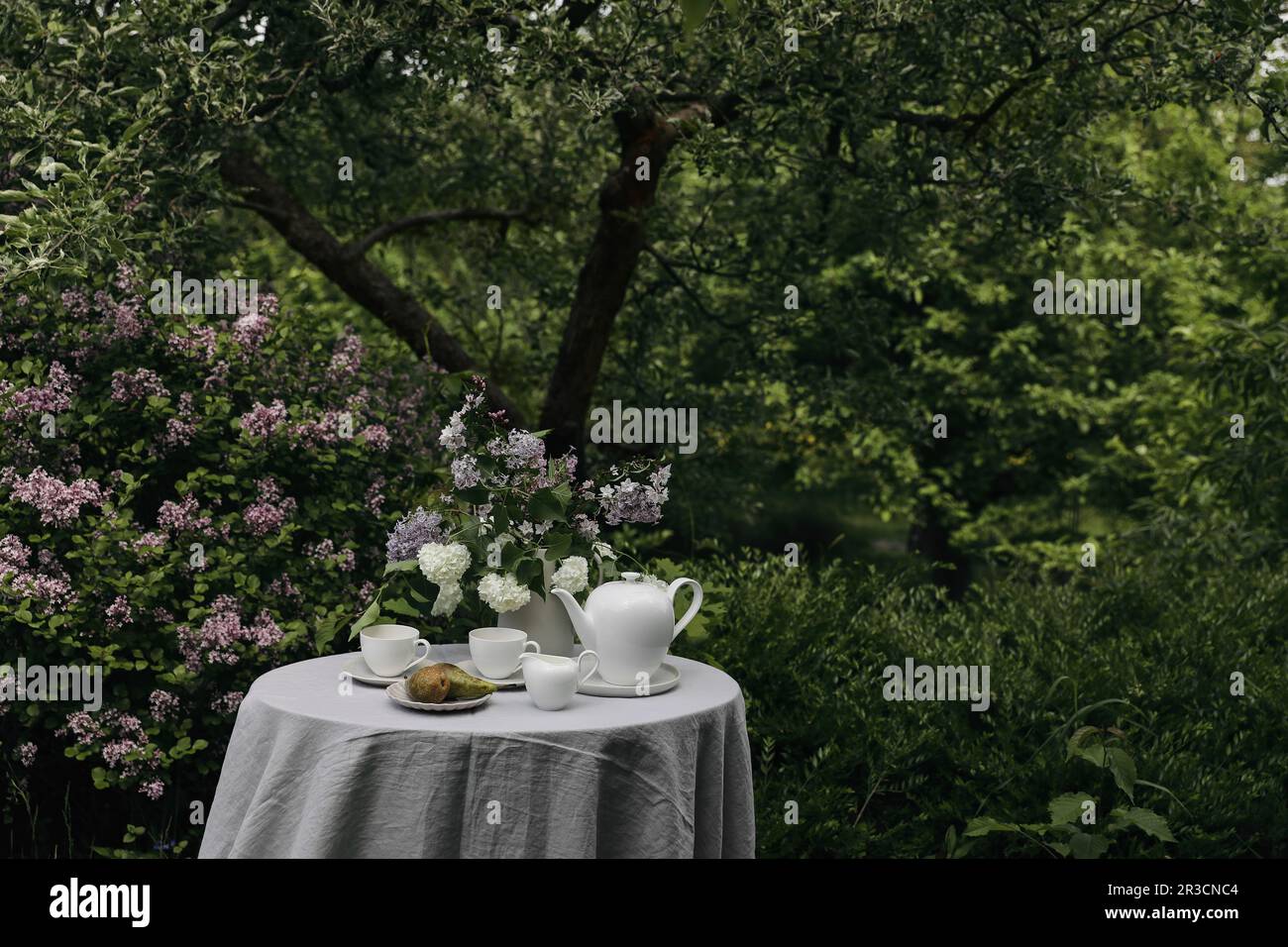 Gemütliche Teeparty im wunderschönen Garten. Teekanne, Tassen Kaffee, Milchkrug und Birnenfrucht auf dem Tisch mit Leinentischtuch. Ein Strauß lila Flieder Stockfoto