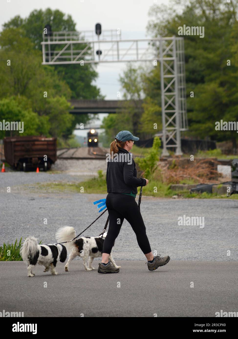 Eine Frau führt ihre zwei Hunde über einen Parkplatz in Abingdon, Virginia. Stockfoto