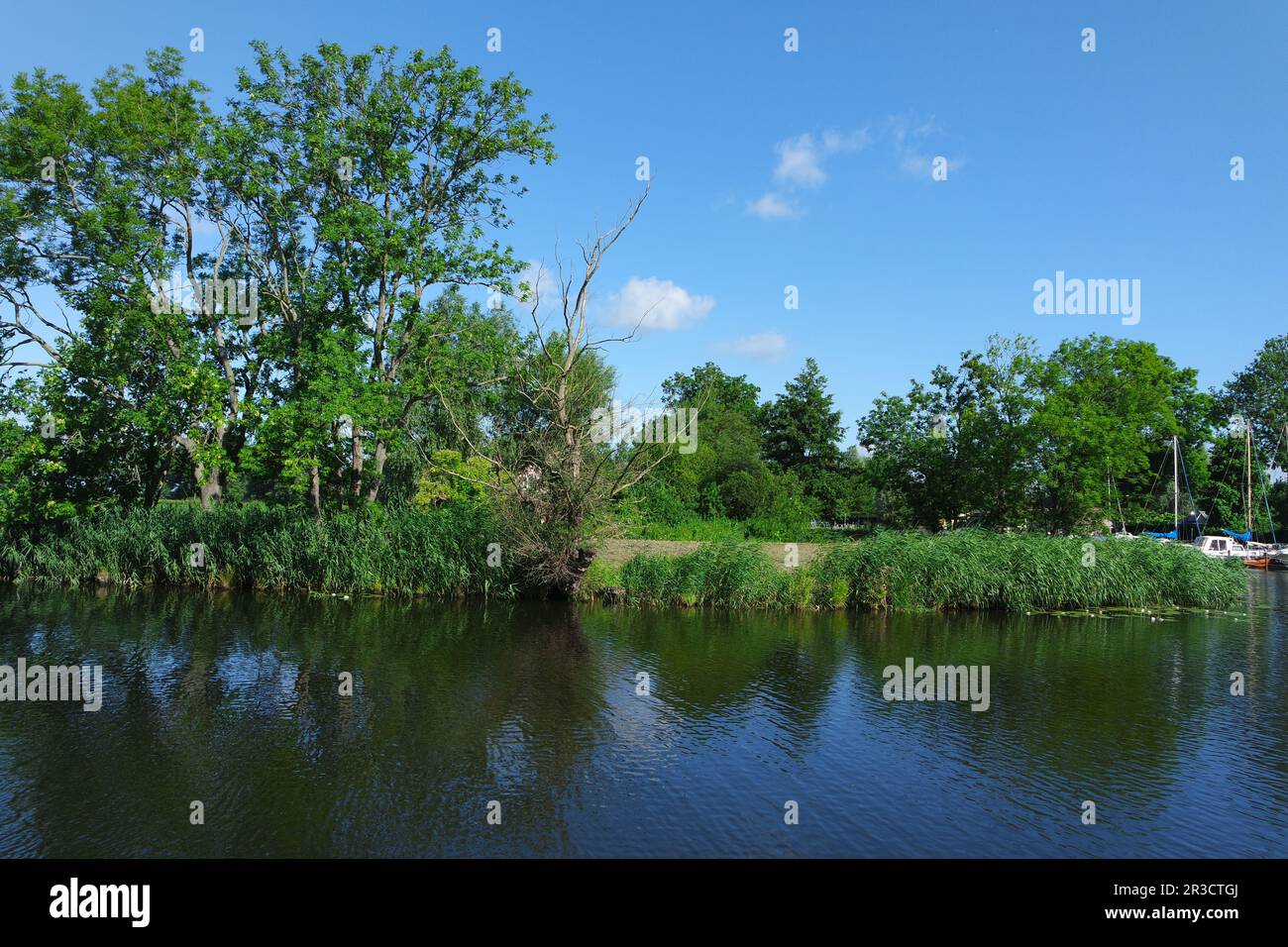 Flusslandschaft des Uecker Stockfoto