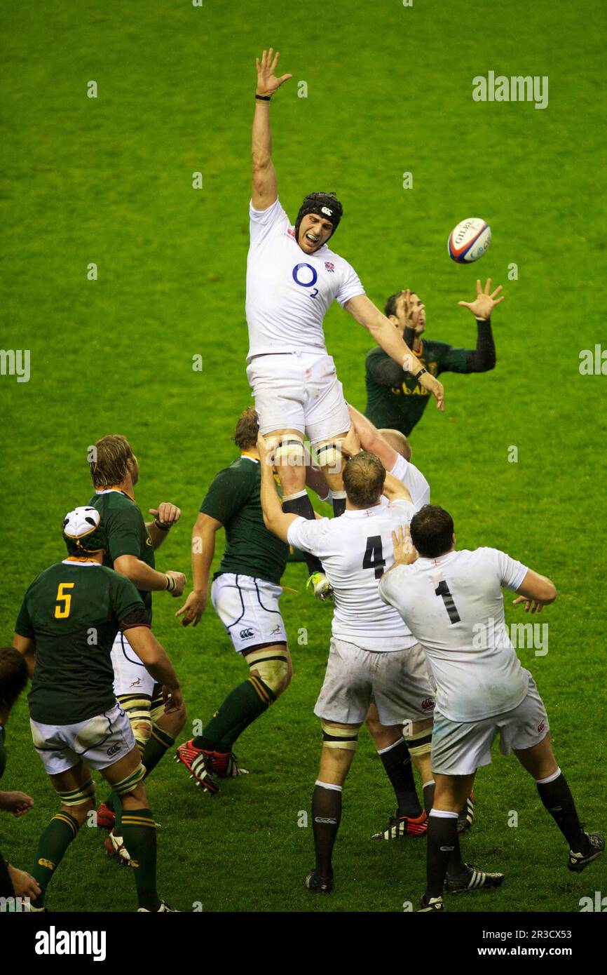 Tom Wood aus England beurteilt den Lineout-Ball falsch, während Ruan Pienaar aus Südafrika hinten während des QBE-Spiels im Herbst aufräumt Stockfoto