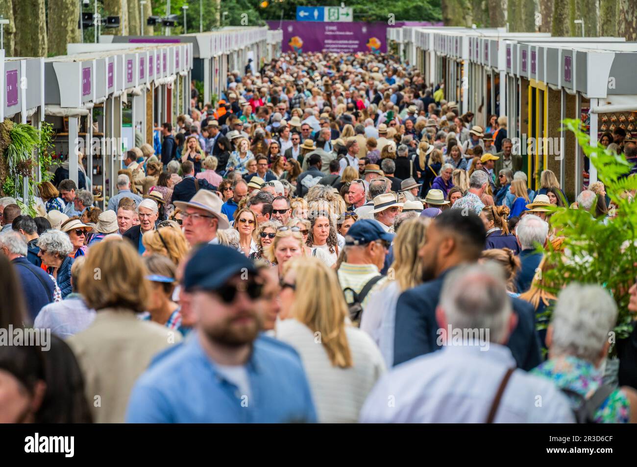 London, Großbritannien. 23. Mai 2023. Große Menschenmassen am Mitgliedertag - die Chelsea Flower Show 2023. Kredit: Guy Bell/Alamy Live News Stockfoto