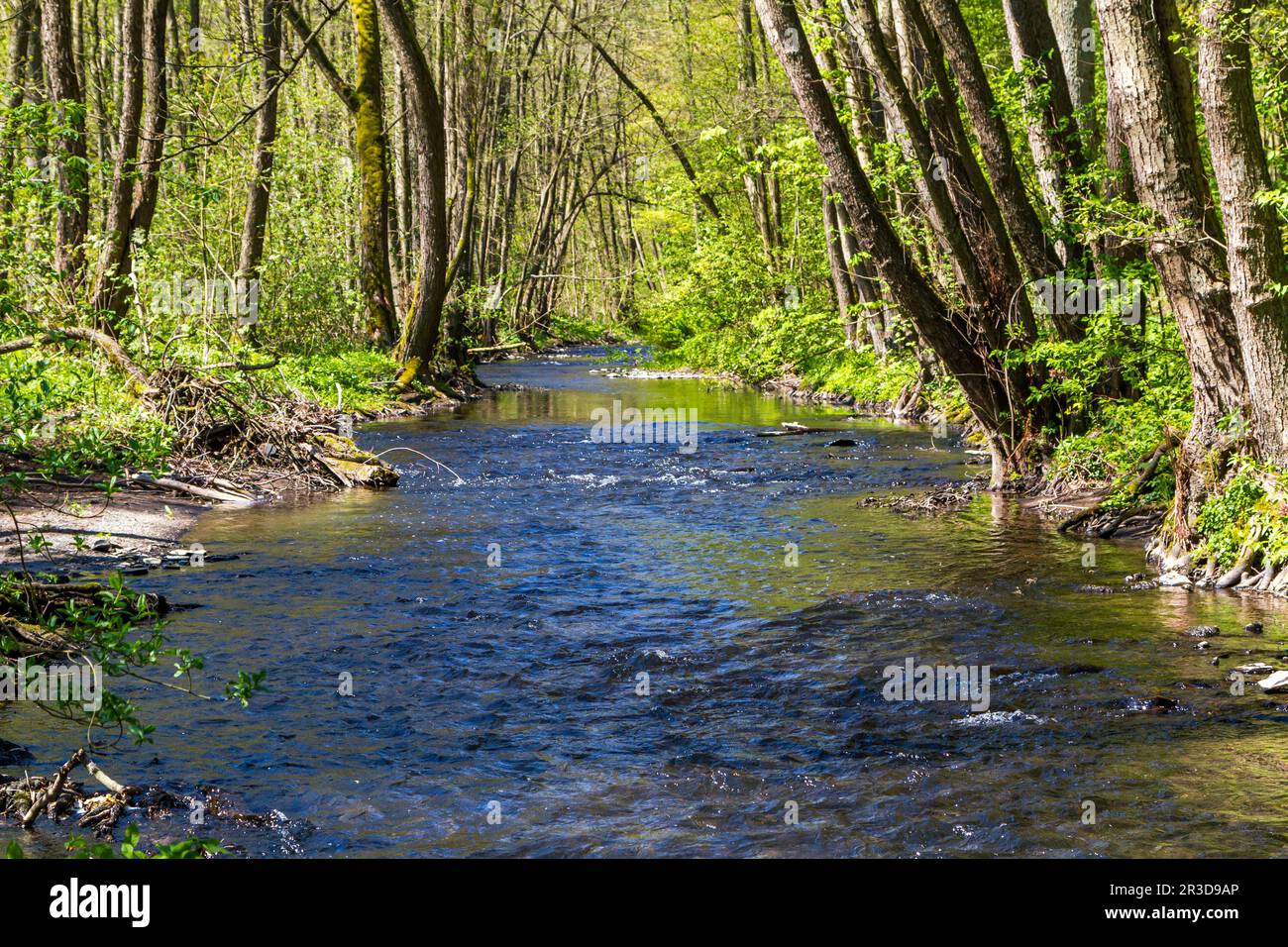 Die Selke im Harz Stockfoto
