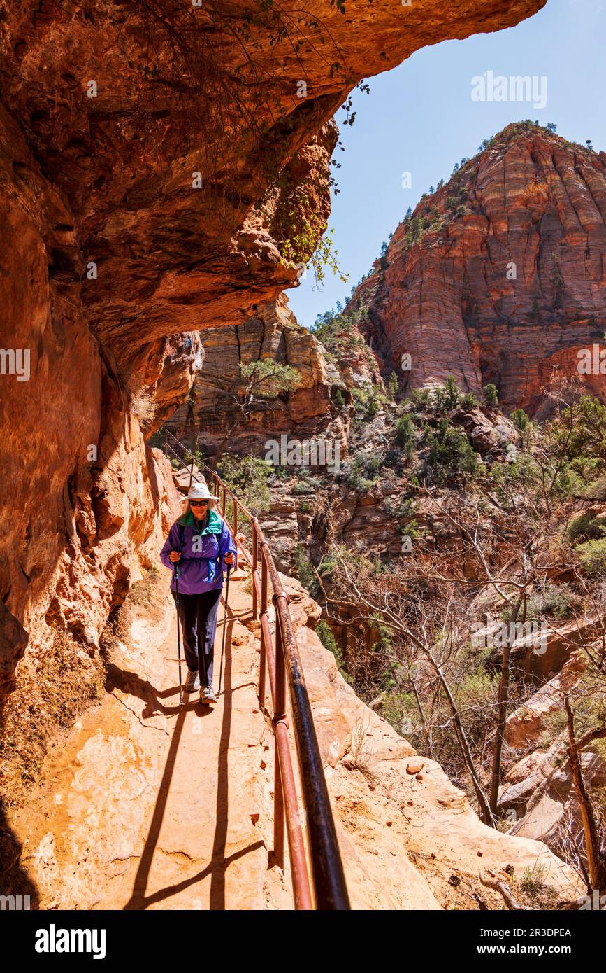 Alleinstehende Seniorin auf dem Canyon Overlook Trail; Zion National Parkl; Utah; USA Stockfoto