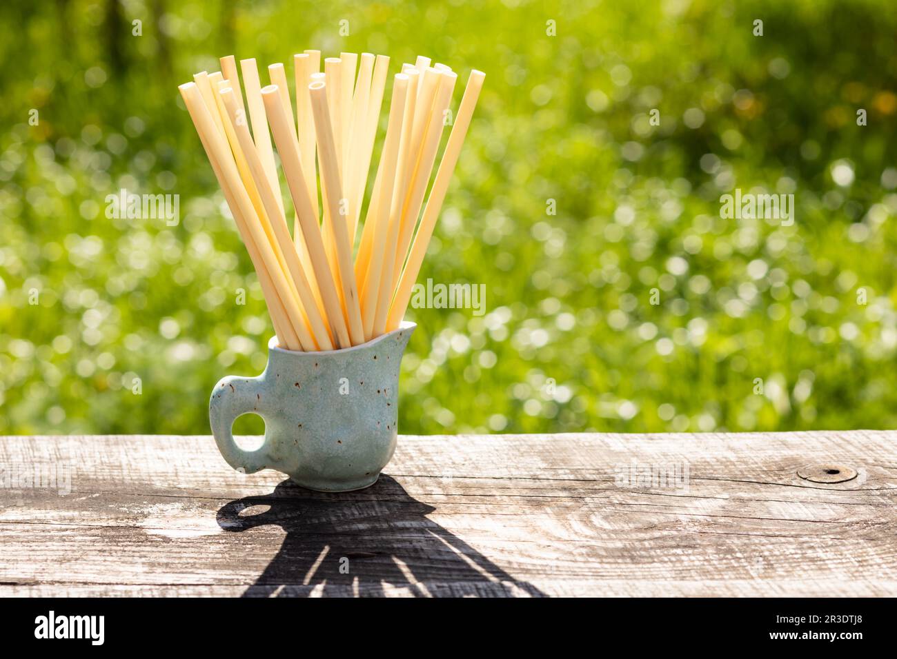 Biologisch abbaubare kompostierbare natürliche Trinkhalme aus Rohrstock Stockfoto