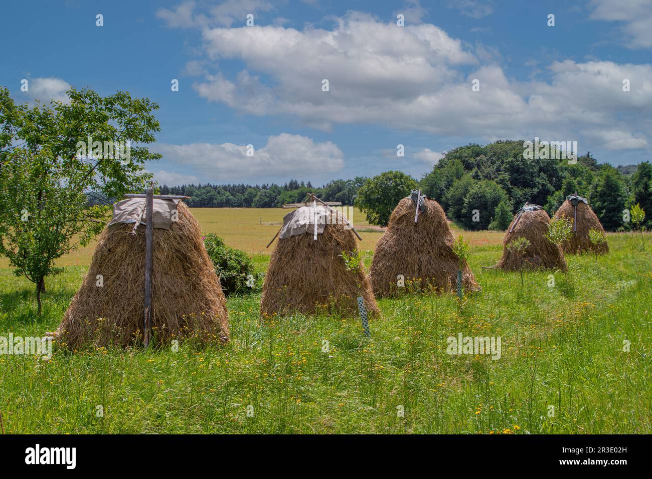 Heuhaufen im Harz Neudorf Stockfoto