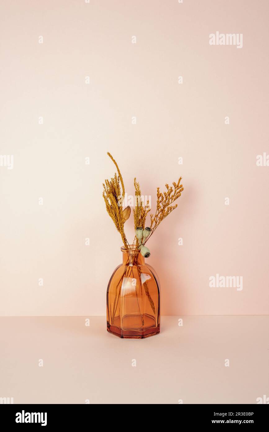 Braune Glasvase mit trockener Blume auf rosa Tisch. Rosafarbener Wandhintergrund. Speicherplatz kopieren Stockfoto