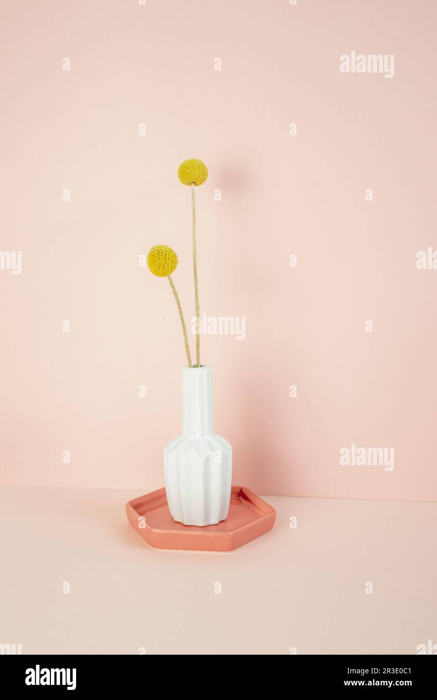 Vase mit gelber Craspedia-goldener Kugelblume auf einem rosa Tisch. Rosafarbener Wandhintergrund. Speicherplatz kopieren Stockfoto