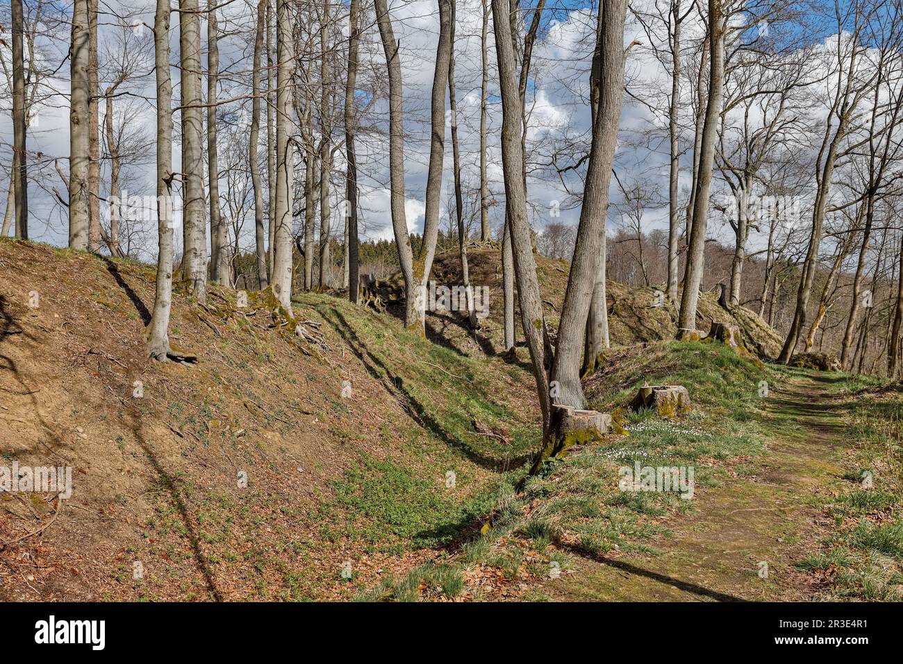 Archäologisches Denkmal Erichsburger Schlösser und Paläste im Harz-Gebirge Stockfoto