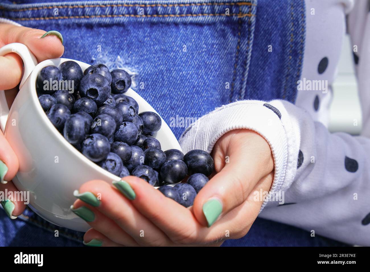 Eine Frau, die eine Schüssel mit frischen Blaubeeren hält. Erntekonzept. Weibliche Hände sammeln Beeren. Das Konzept des Gemüsegartens Stockfoto