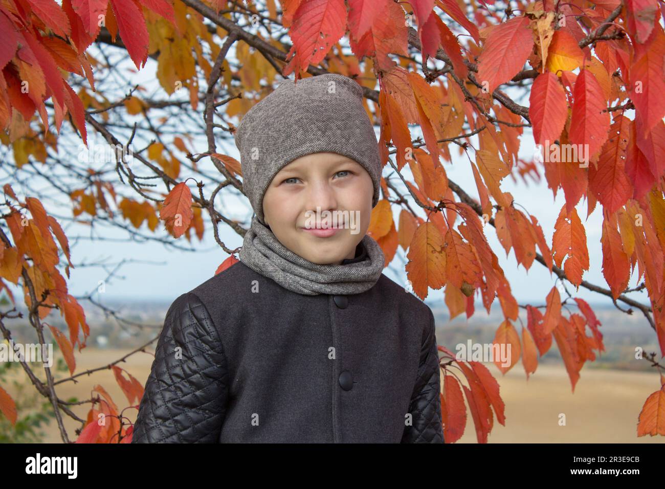 Da war ein Junge unter einem Herbstbaum mit roten Blättern Stockfoto