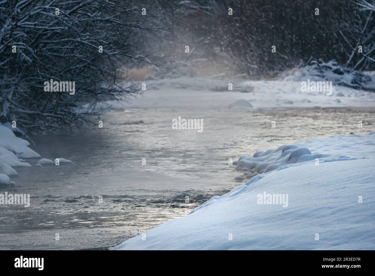 Kalter Winterfluss, Dampf über Wasser sichtbar, dunkle Bäume auf beiden Seiten Stockfoto