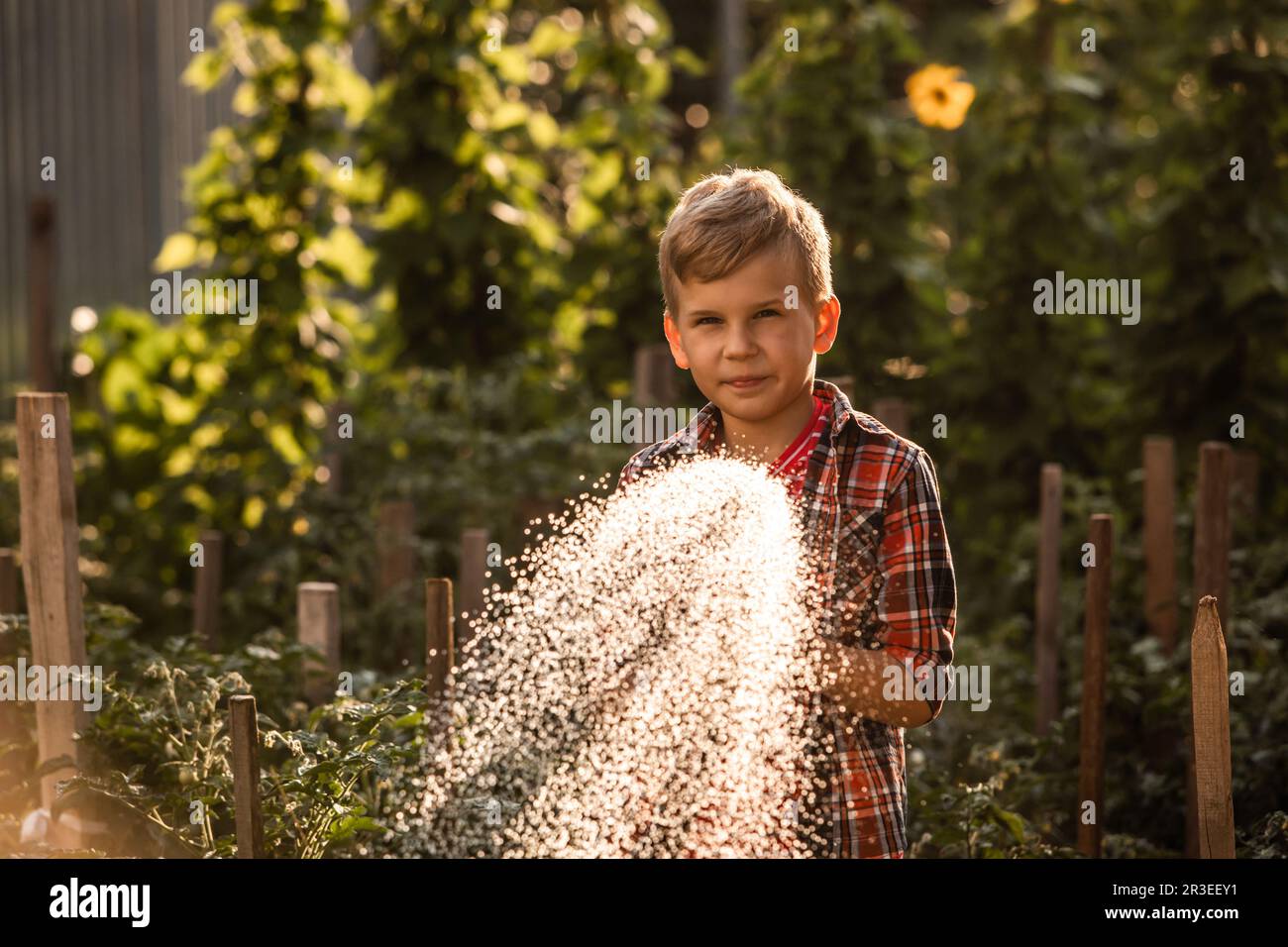 Der kleine Junge wäscht die Pflanzen und macht große Wasserspritzer Stockfoto