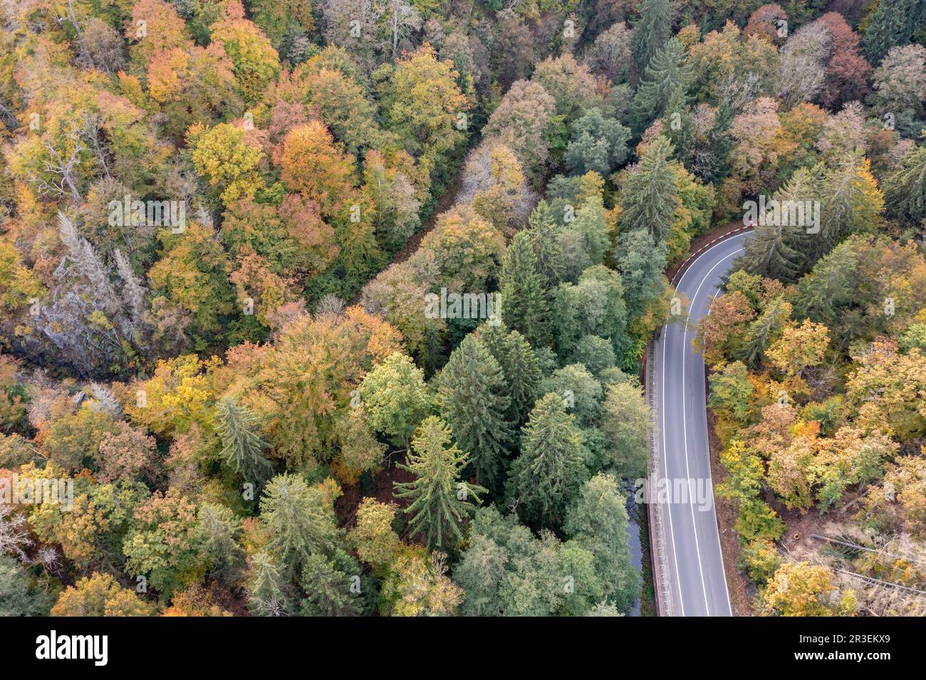 Herbstatmosphäre in Selketal Harz Stockfoto