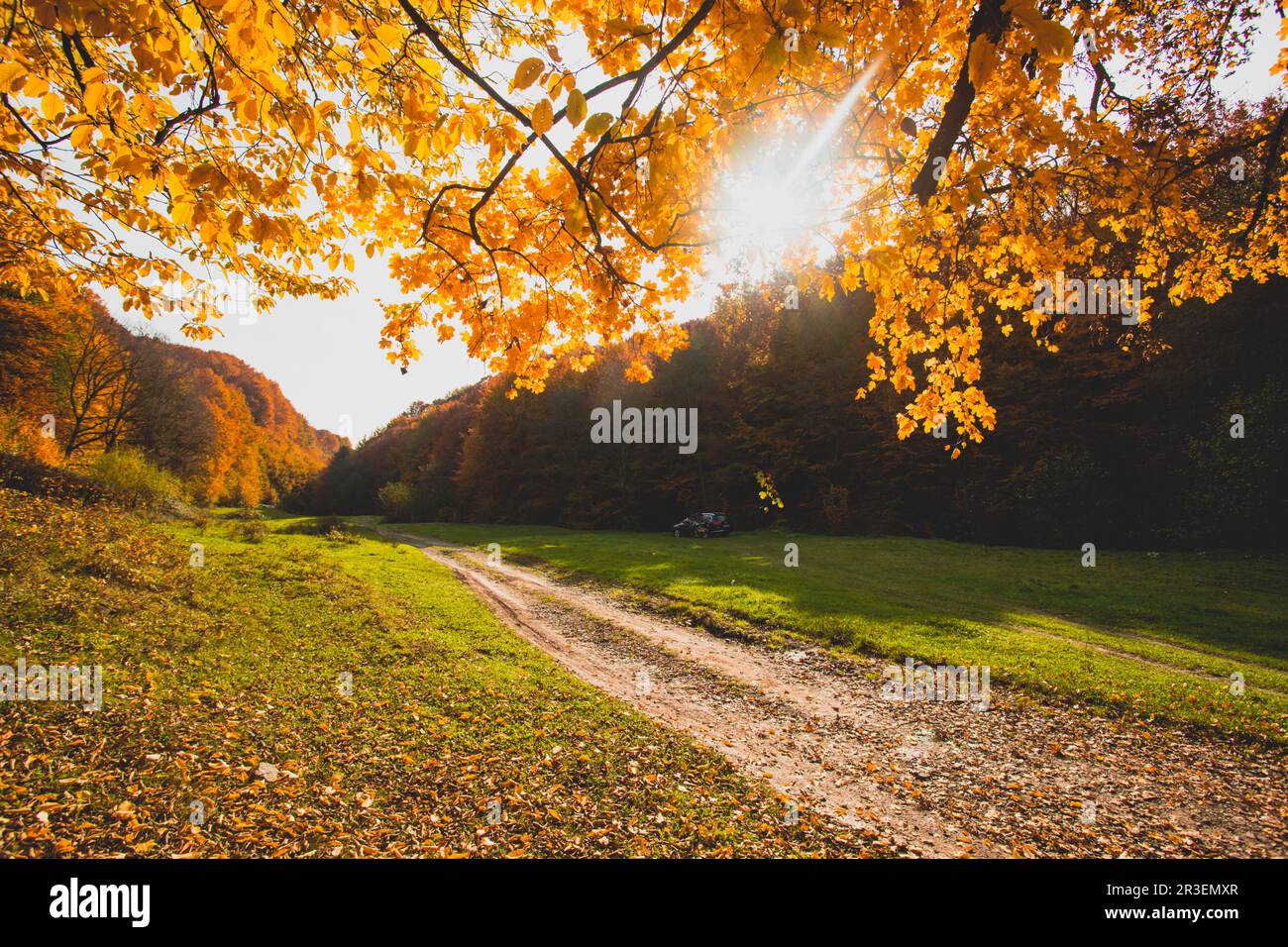Die helle Sonne geht über dem Hügel im Herbstwald auf Stockfoto