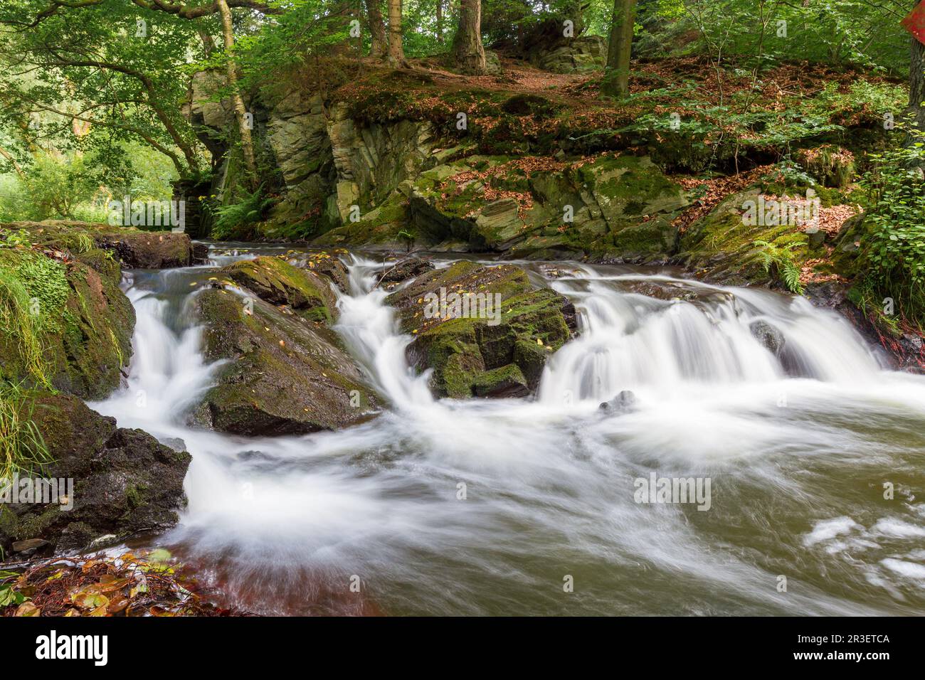 Naturerlebnis Selke-Wasserfall im wilden, romantischen Selke-Tal von Harz Stockfoto