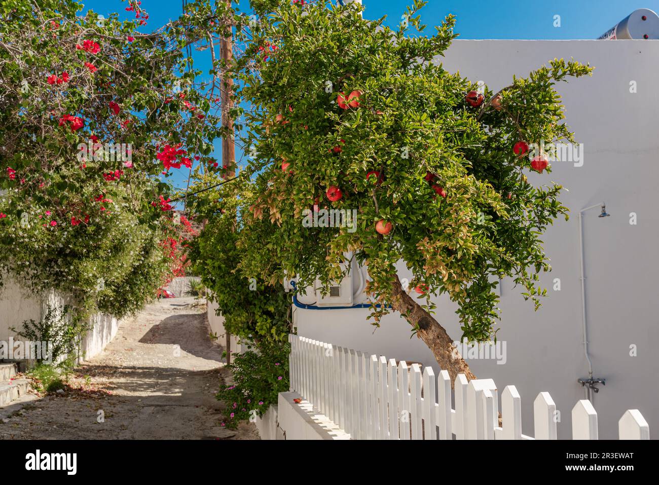 Eindrücke aus dem griechischen Dorf Lentas auf Kreta Stockfoto