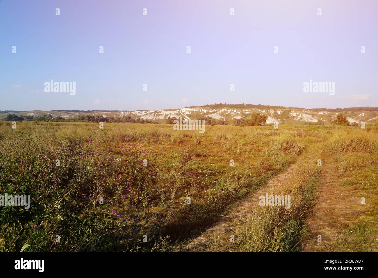 Uralte Multimillionen-Kreide-Berge auf der Steppenoberfläche der Erde. Weißkalkberge im Park-Reservat Dduretschanski in der Ukraine Stockfoto