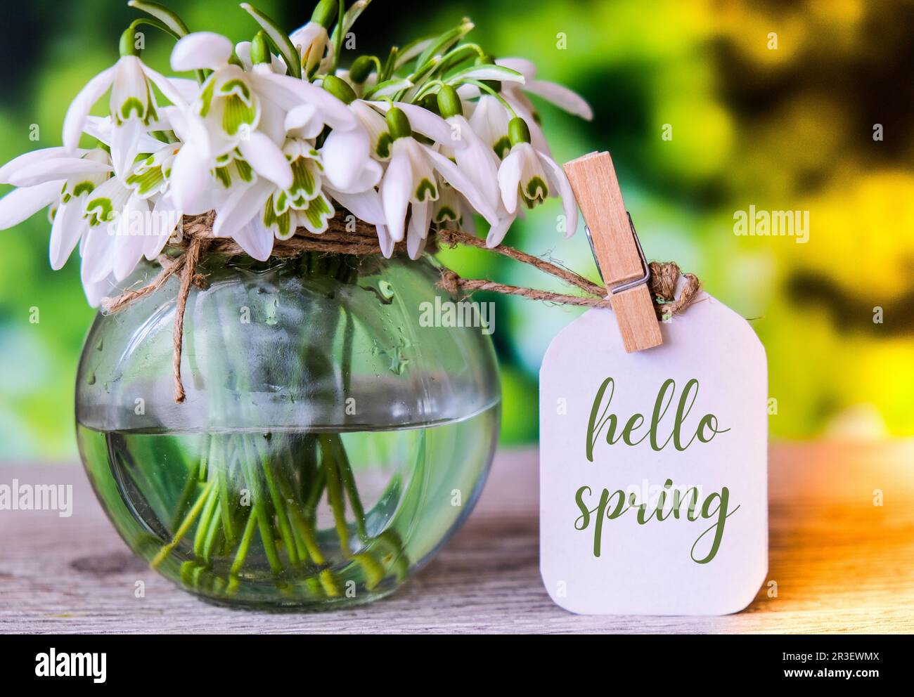 Grußkarte Text HALLO FRÜHLINGSSCHRIFT mit Schneegropfen Blumen. Frühe Frühlingsblumen. Frühling. Frisches Bouquet Stockfoto