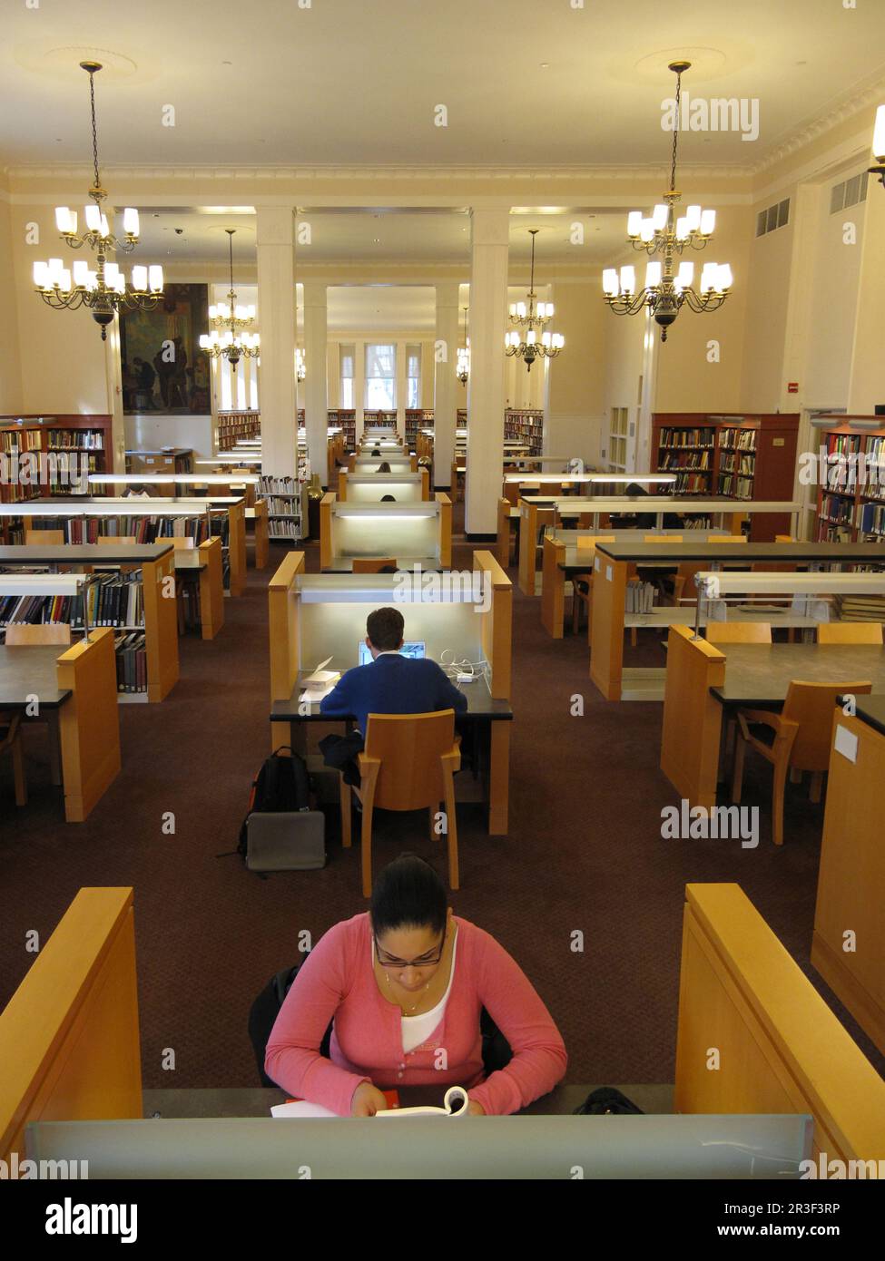 Studenten, die in der Bibliothek des Brooklyn College in NYC studieren Stockfoto