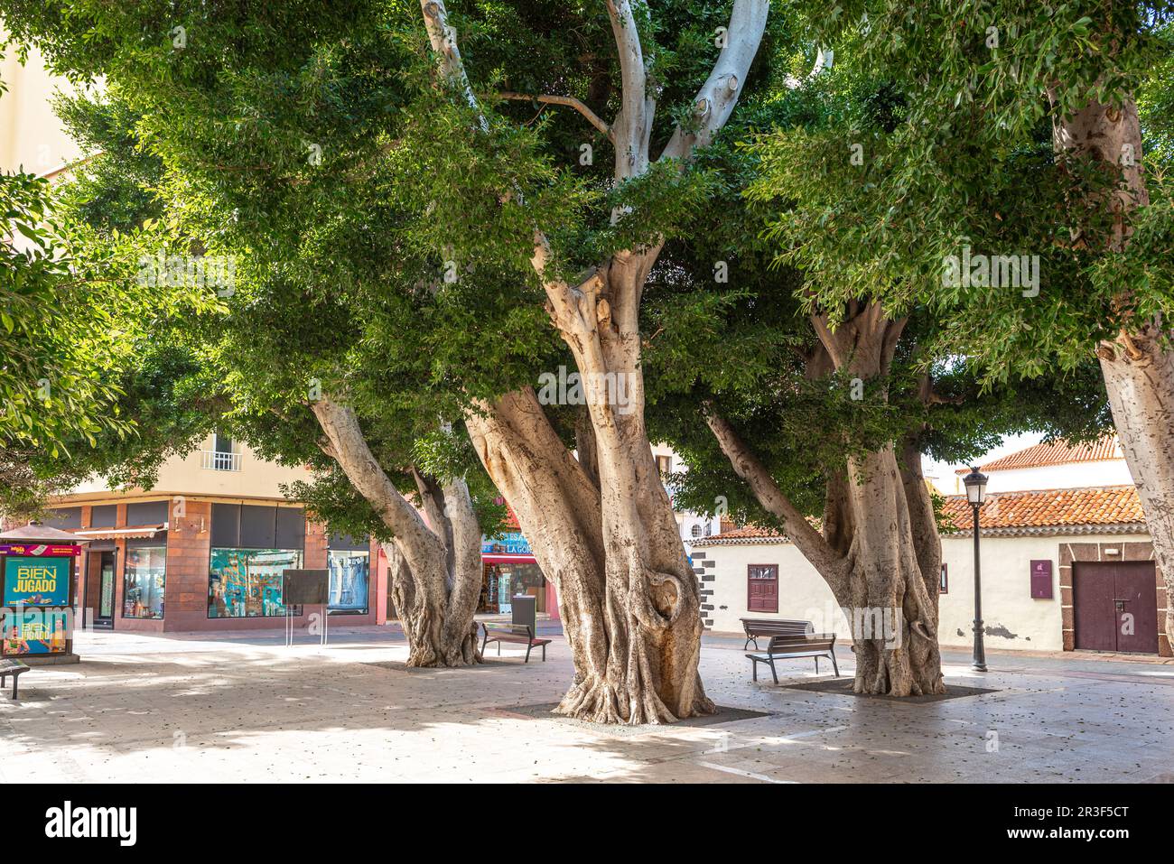 Der Platz der Verfassung von San Sebastian de La Gomera Stockfoto