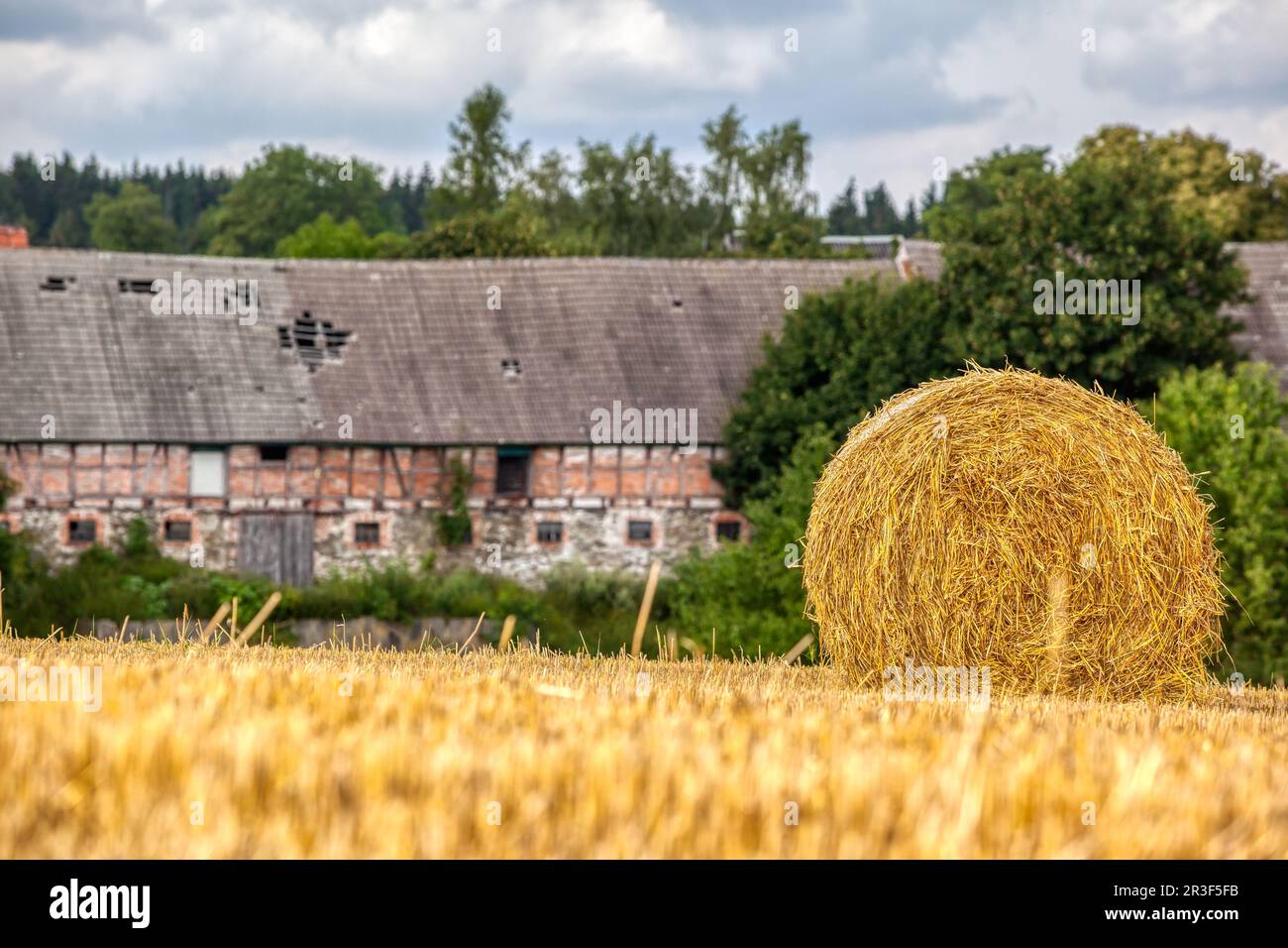 Feld mit Strohrollen in Harz Stockfoto