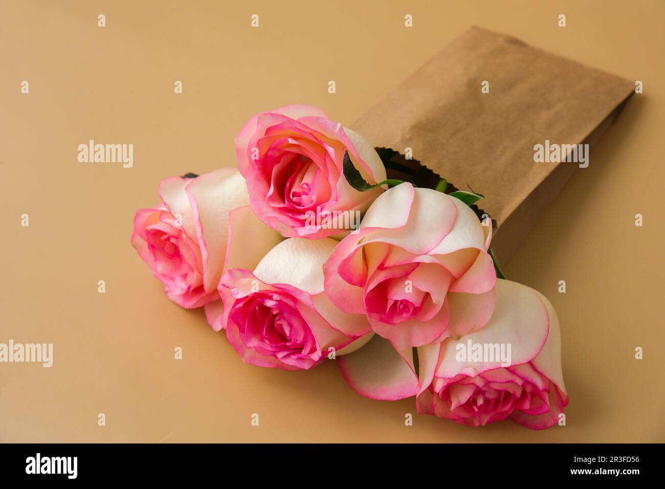 Zarte rosa Rosen in handgefertigter Papiertüte auf beigefarbenem Hintergrund. Minimale trendige Komposition. Abstrakte Kunstidee. Romantisches Pastellrosa Stockfoto