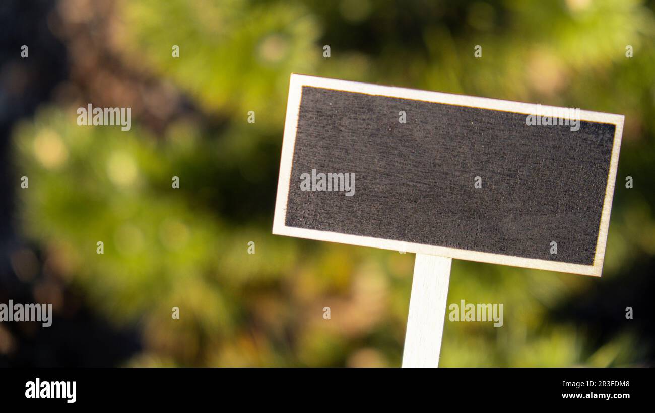 Leeres Informationsschild aus Holz mit schwarzem Etikett auf schwarzem schwarzem Brett vor unscharfem naturgrünen Hintergrund. Verstanden Stockfoto