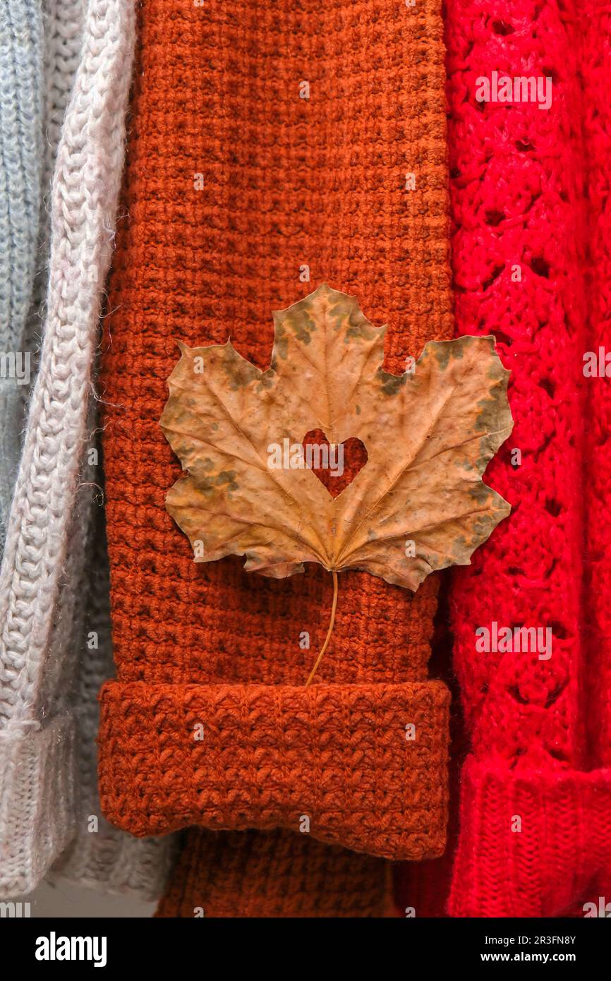 Herbstkonzept. Herzzaugliches Ahornblatt auf kuschelig warmem Pullover. Strickpullover aus Wolle und Mohair. Hygge-Stil Stockfoto