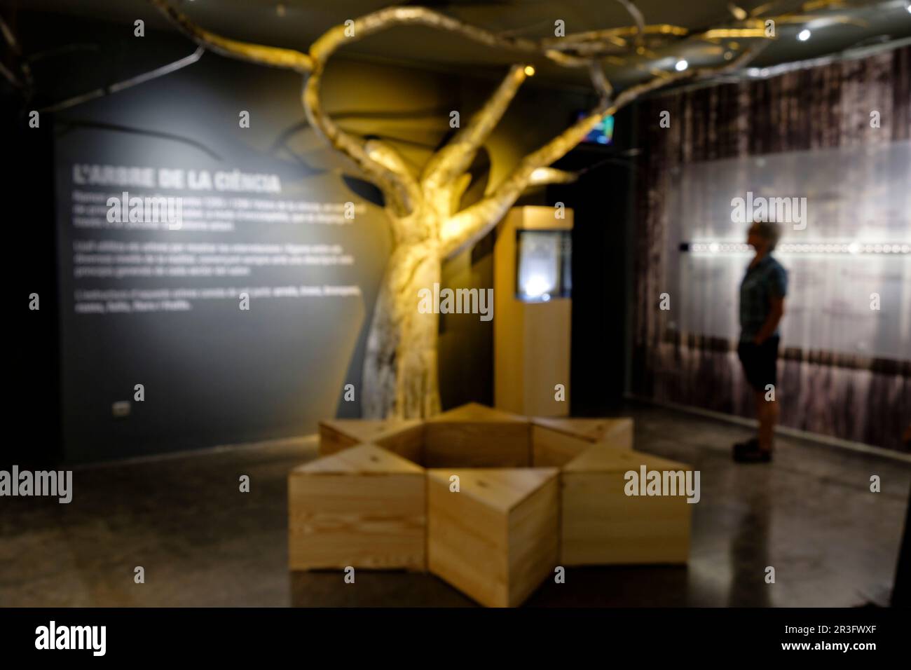 El árbol de la Ciencia, exposicion El Viaje de Ramon Llull, Museo Diocesano de Mallorca, Palma, Mallorca, Balearen, Spanien. Stockfoto